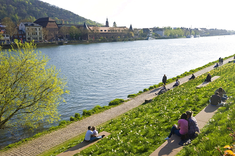 On the bank of the Neckar River, Heidelberg, Palatinate, Baden-Wuerttemberg, Germany, Europe