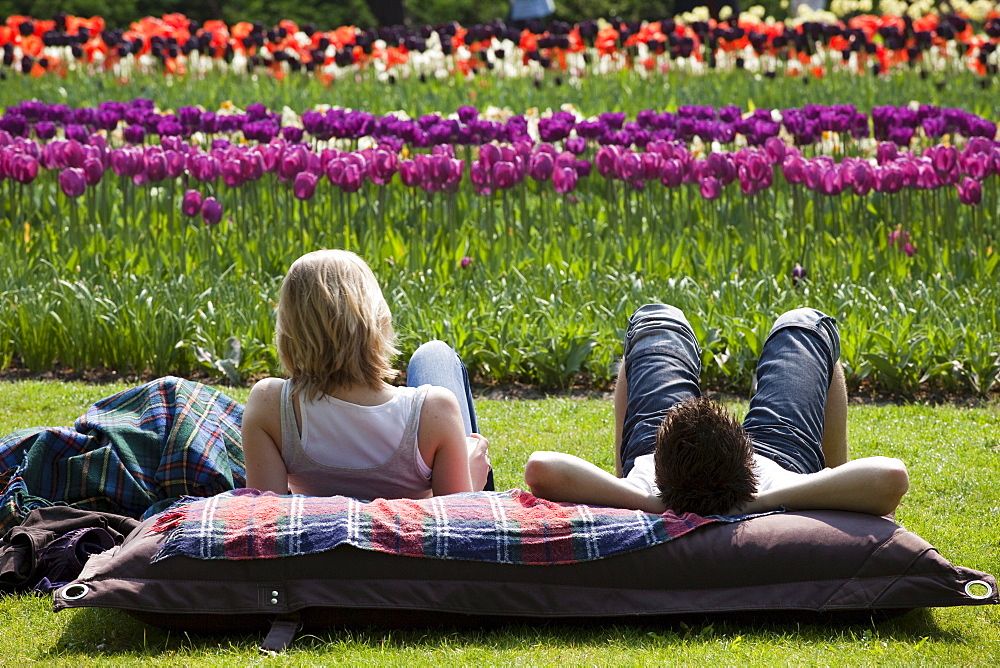 Annual flower show with mostly tulips, Keukenhof flower garden, Lisse, North Holland province, Netherlands, Europe