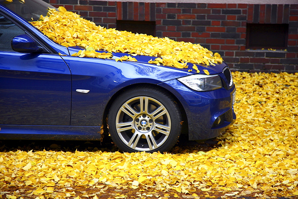 Parked car, fully covered with autumn leaves, Germany, Europe