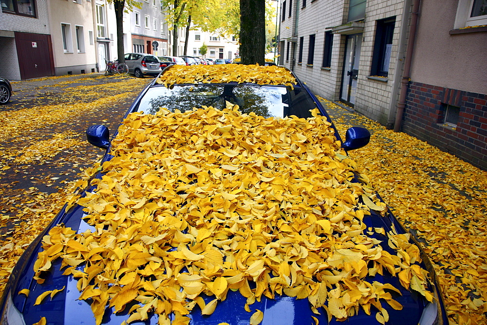 Parked car, fully covered with autumn leaves, Germany, Europe