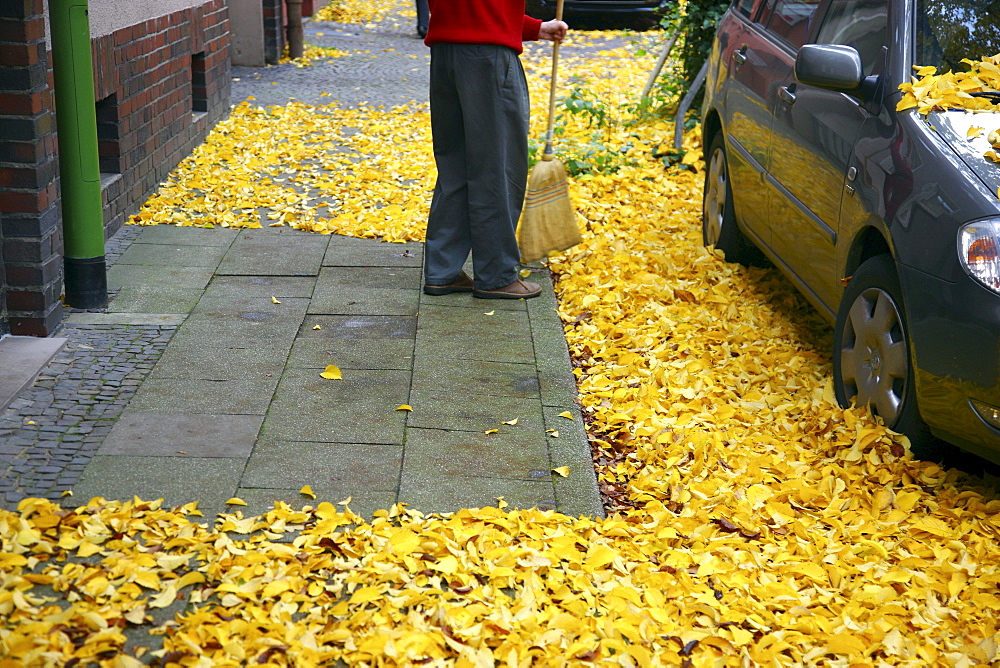 Man with a broom sweeping autumn leaves from the pavement outside his house, Germany, Europe