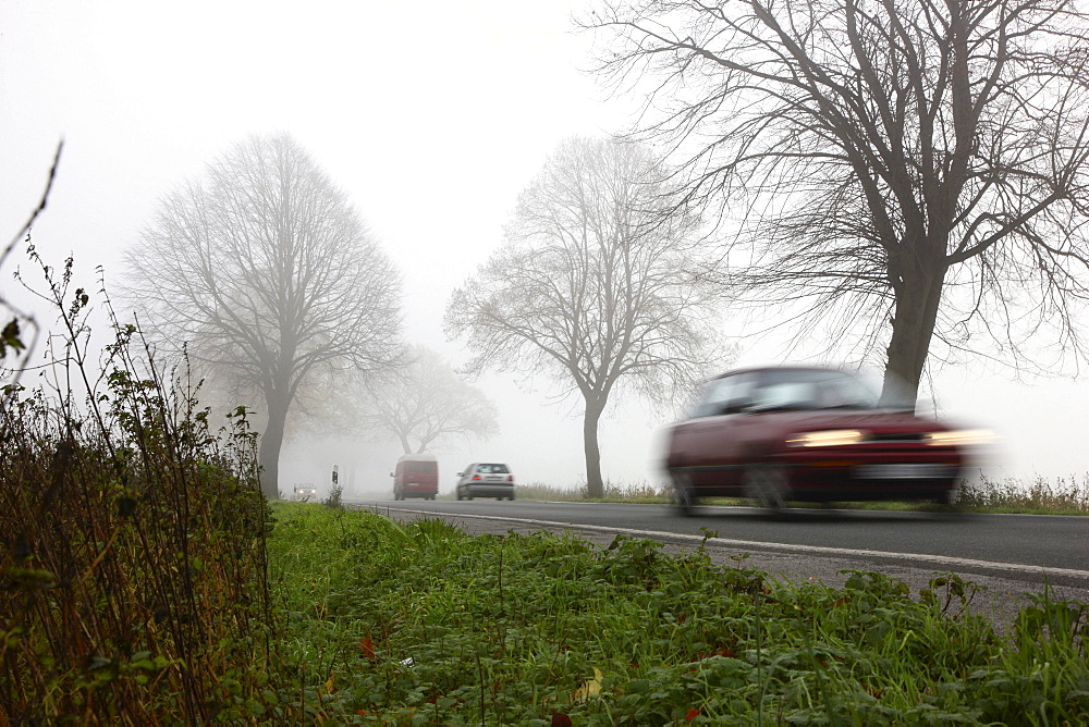 Road between Essen and Bochum in dense fog, autumn, visibility below 100 metres, North Rhine-Westphalia, Germany, Europe