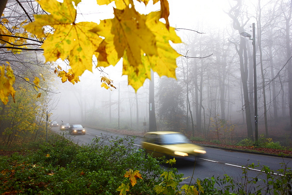 Highway in dense fog, autumn, visibility below 100 metres, Essen, North Rhine-Westphalia, Germany, Europe