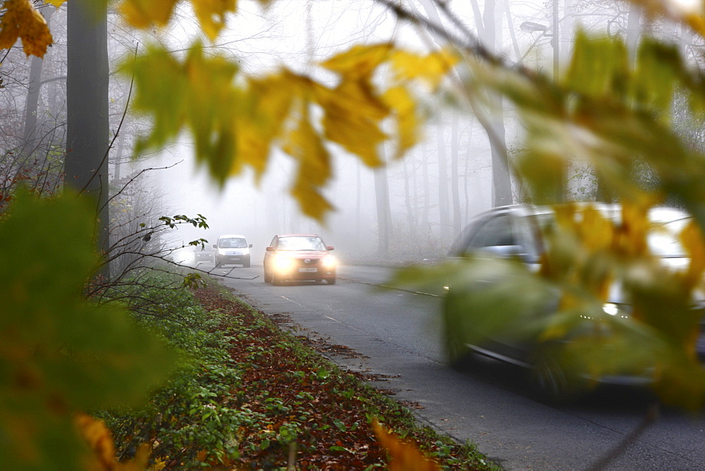 Highway in dense fog, autumn, visibility below 100 metres, Essen, North Rhine-Westphalia, Germany, Europe