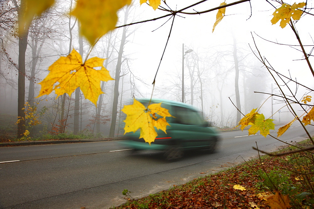 Highway in dense fog, autumn, visibility below 100 metres, Essen, North Rhine-Westphalia, Germany, Europe