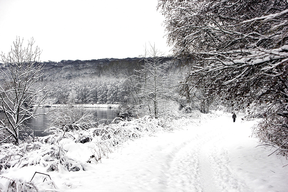 Walker at the snow-covered Ruhr and forest, near Essen-Ueberruhr, Essen, North Rhine-Westphalia, Germany, Europe