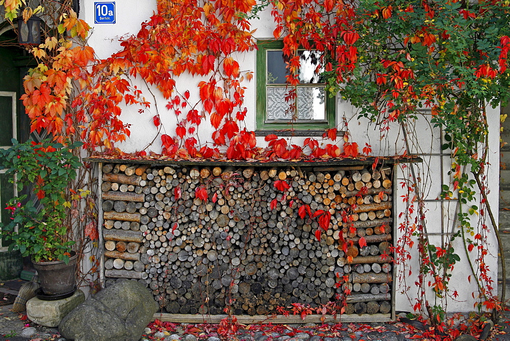 Stacked fire wood in front of a building, red grape-vine, Oberammergau, Bavaria, Germany, Europe