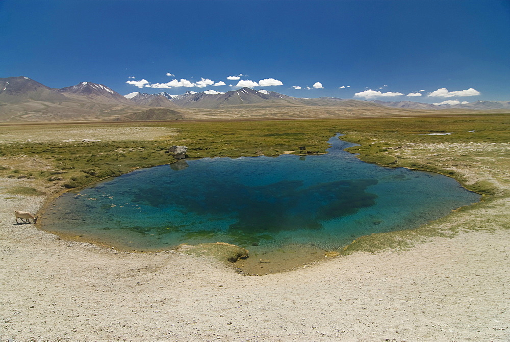 Ak Balyk spring, Tajikistan, Central Asia