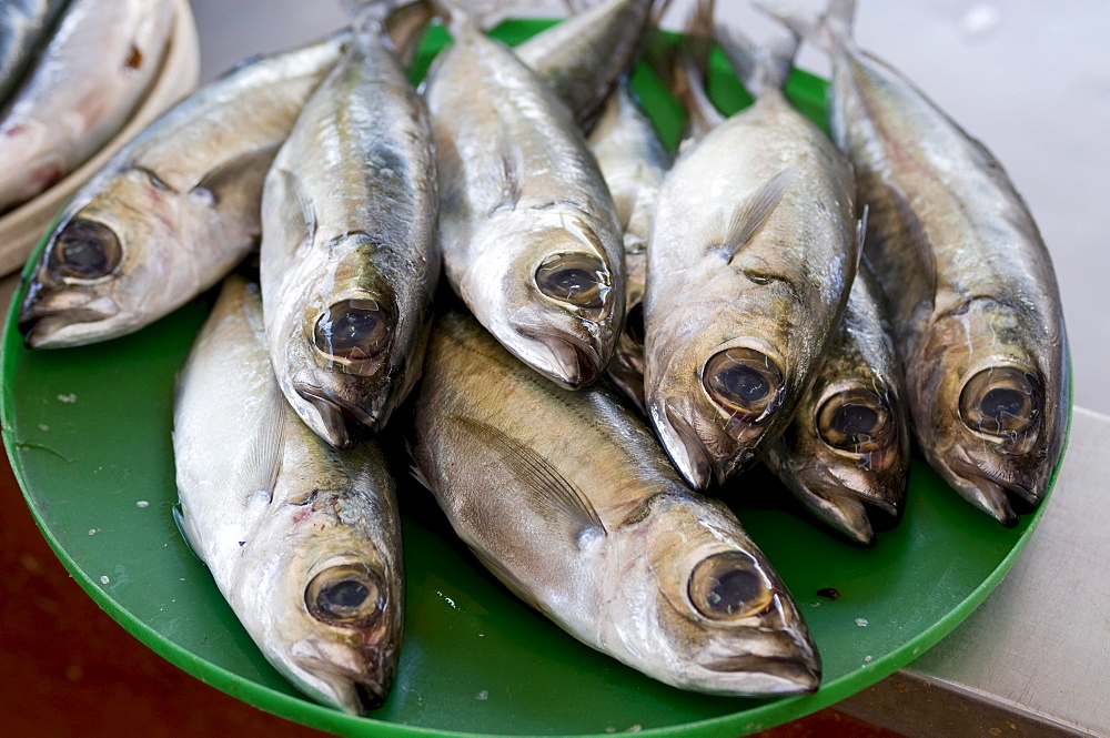 Fish, San Vincente, Mindelo, Cabo Verde, Cape Verde, Africa