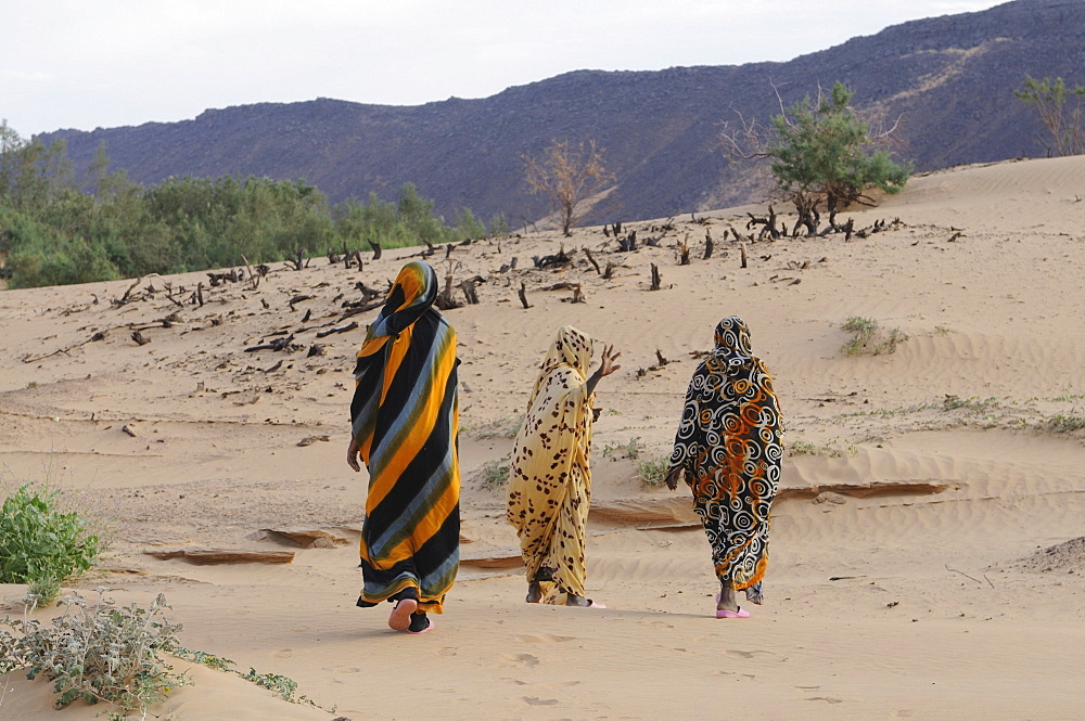 Veiled women with traditional dress walking near Atar, Mauritania, northwestern Africa