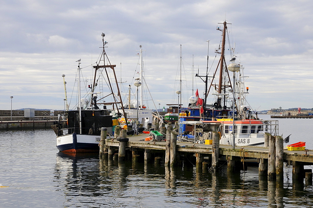 Fishing boats in the port of Sassnitz, Ruegen, Mecklenburg-Western Pomerania, Germany, Europe
