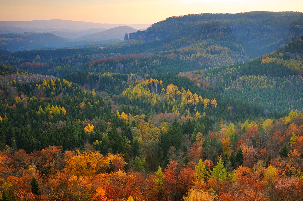 View of the Nasser Grund from the Gratweg ridge trail, Saechsische Schweiz, Saxon Switzerland, Elbe Sandstone Mountains, Saxony, Germany, Europe