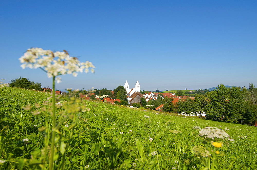 Steingaden, Allgaeu, Bavaria, Germany, Europe