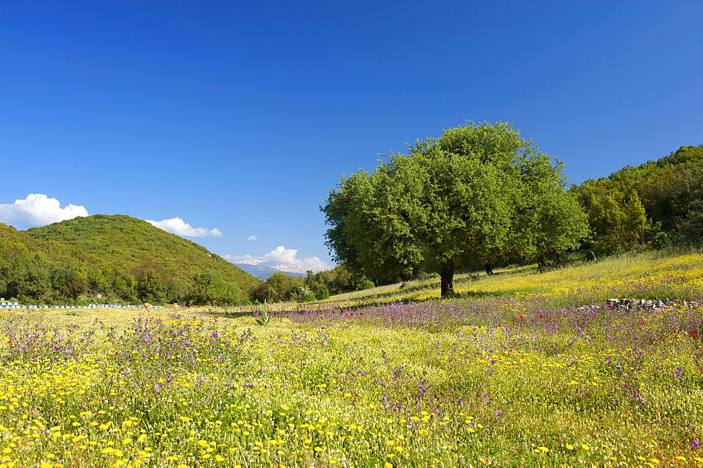 Landscape overlooking the Beydaglan, Bey Daglari Mountains, south coast of Turkey near Kas, Lycia, Turkey