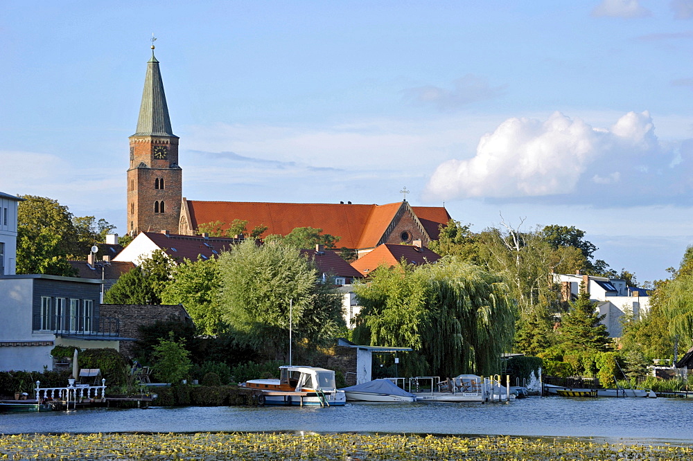 Cathedral of St. Peter and Paul, historic town centre, Brandenburg an der Havel, Brandenburg, Germany, Europe