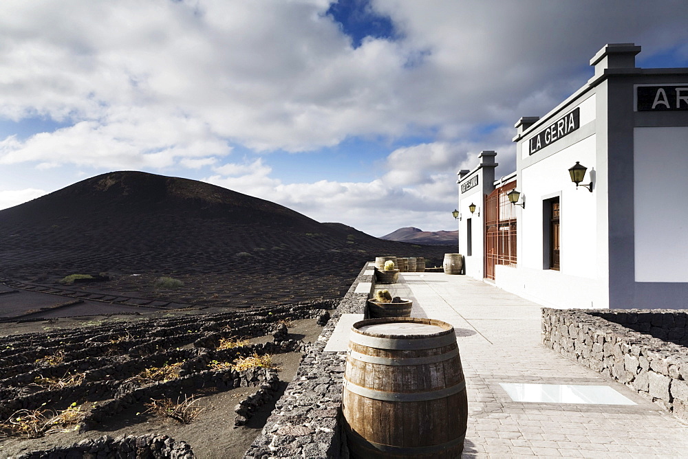 Bodega La Geria in the wine growing area of La Geria, Lanzarote, Canary Islands, Spain, Europe