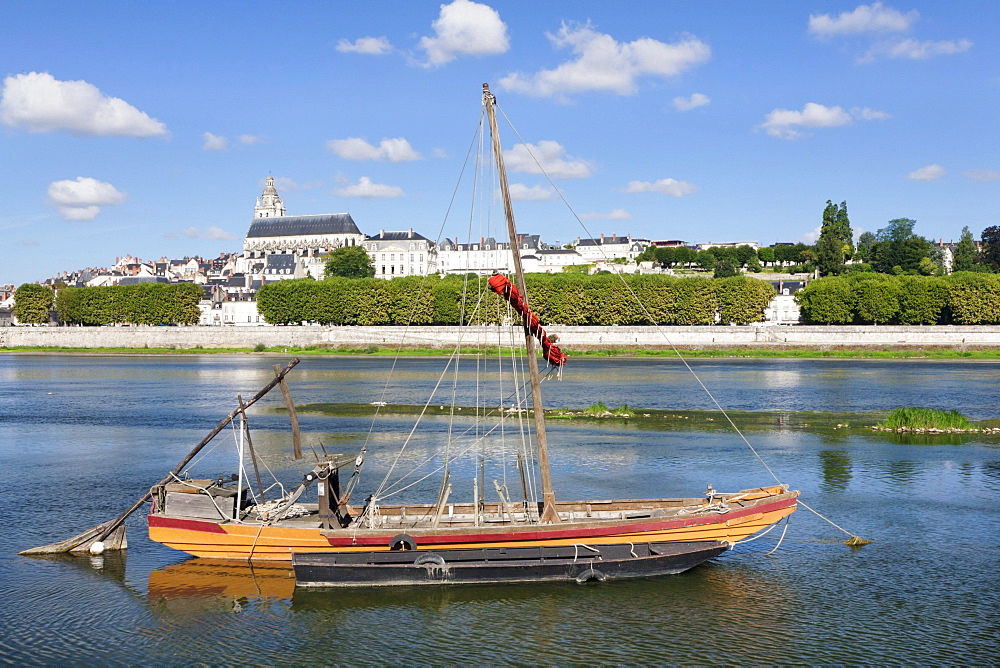 Cityscape of Blois with Blois Cathedral, department of Loire et Cher, France, Europe