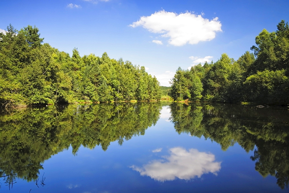 Neckar River origin, river head, Schwenninger Moos, Baden-Wuerttemberg, Germany, Europe