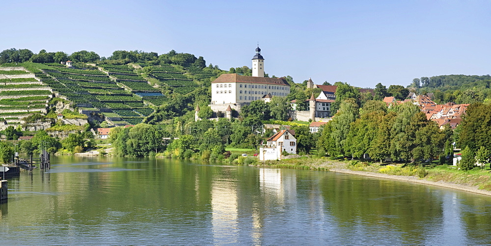 Schloss Horneck Castle, Gundelsheim am Neckar, Neckar River, Baden-Wuerttemberg, Germany, Europe