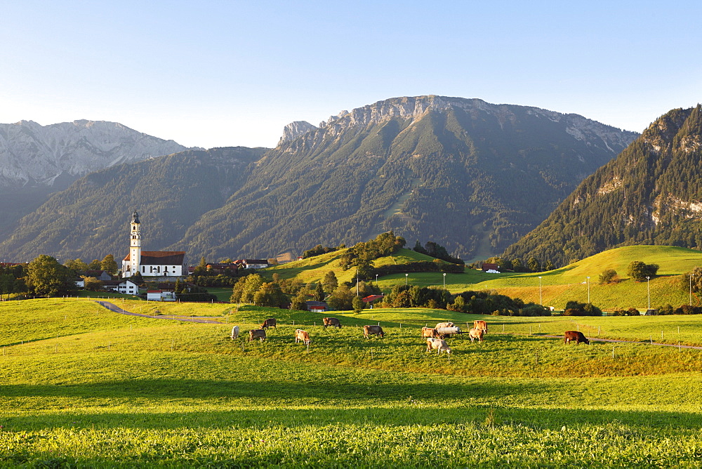 Pfronten, Breitenberg mountain at the back, Tannheimer Berge mountain range, Ostallgaeu district, Allgaeu region, Swabia region, Bavaria, Germany, Europe