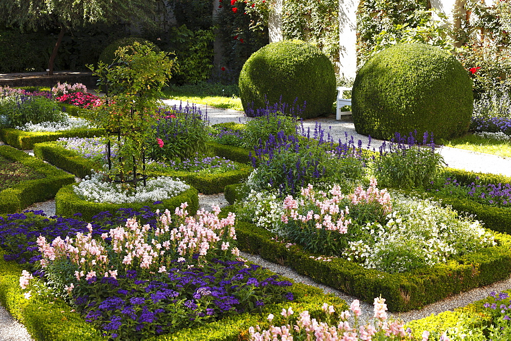 Buchsgarden, box or boxwood garden, Weihenstephan, Freising, Upper Bavaria, Bavaria, Germany, Europe