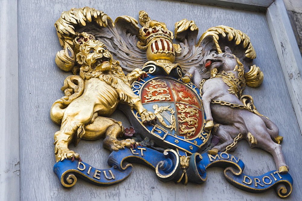 Coat of arms, Salisbury Cathedral, Salisbury, Wiltshire, England, United Kingdom, Europe