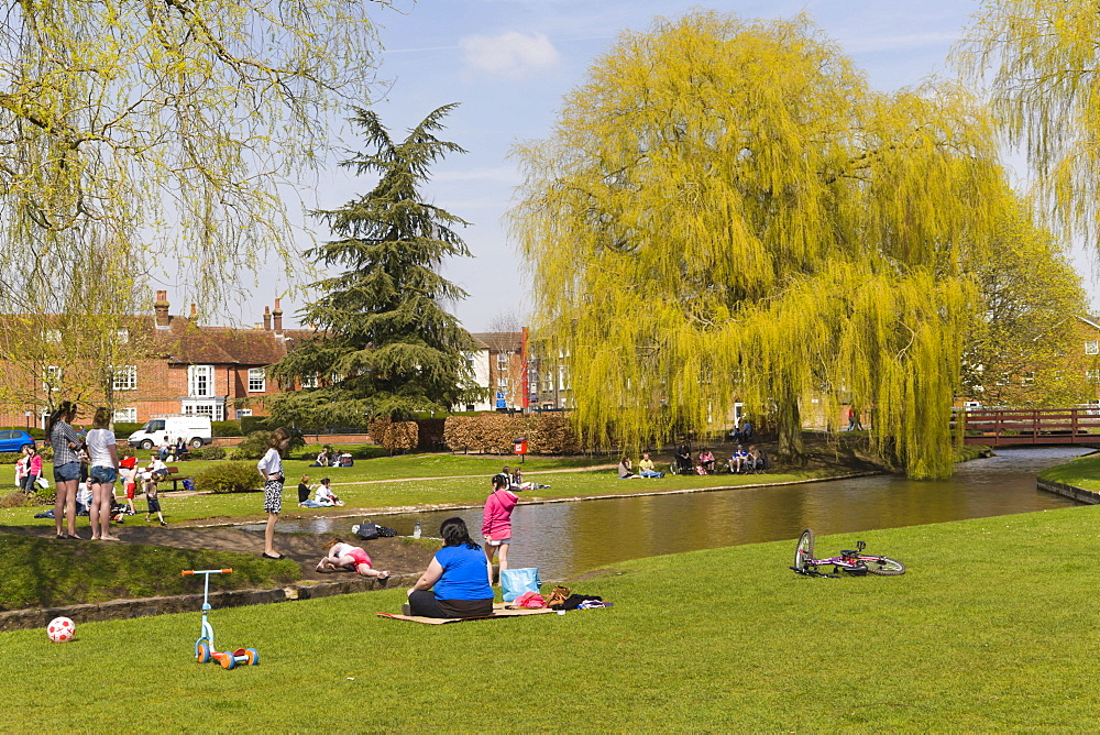 Queen Elizabeth Gardens, Salisbury, Wiltshire, England, United Kingdom, Europe