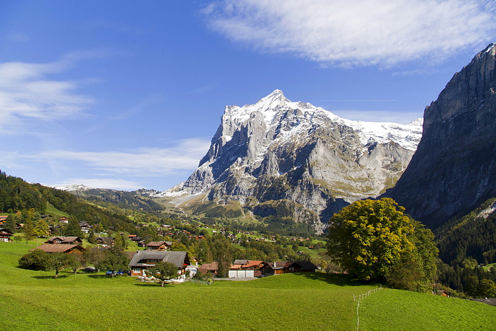 View of Grindelwald village and Wetterhorn mountain, Grindelwald, Bernese Oberland region, canton of Bern, Switzerland, Europe