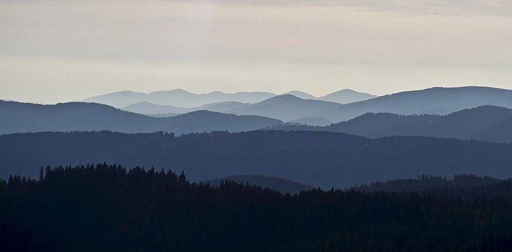 Evening view towards Todnau, Mt. Feldberg, Black Forest, Landkreis Hochschwarzwald county, Baden-Wuerttemberg, Germany, Europe