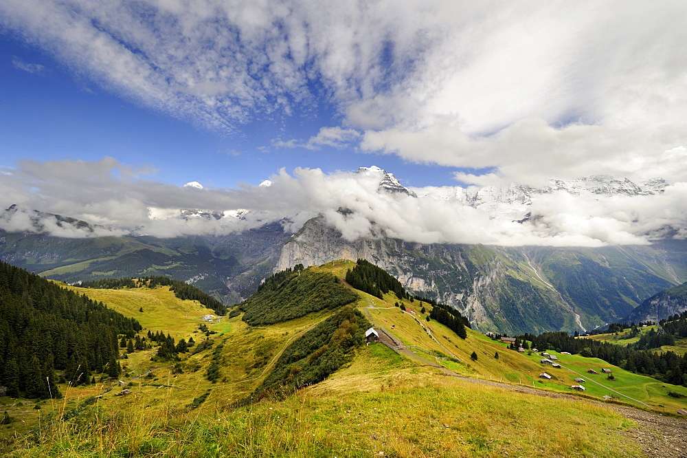 View down to Allmendhubel Mountain, below Schilthorn Mountain, towards the cloud-covered Bernese Alps, Canton of Bern, Switzerland, Europe