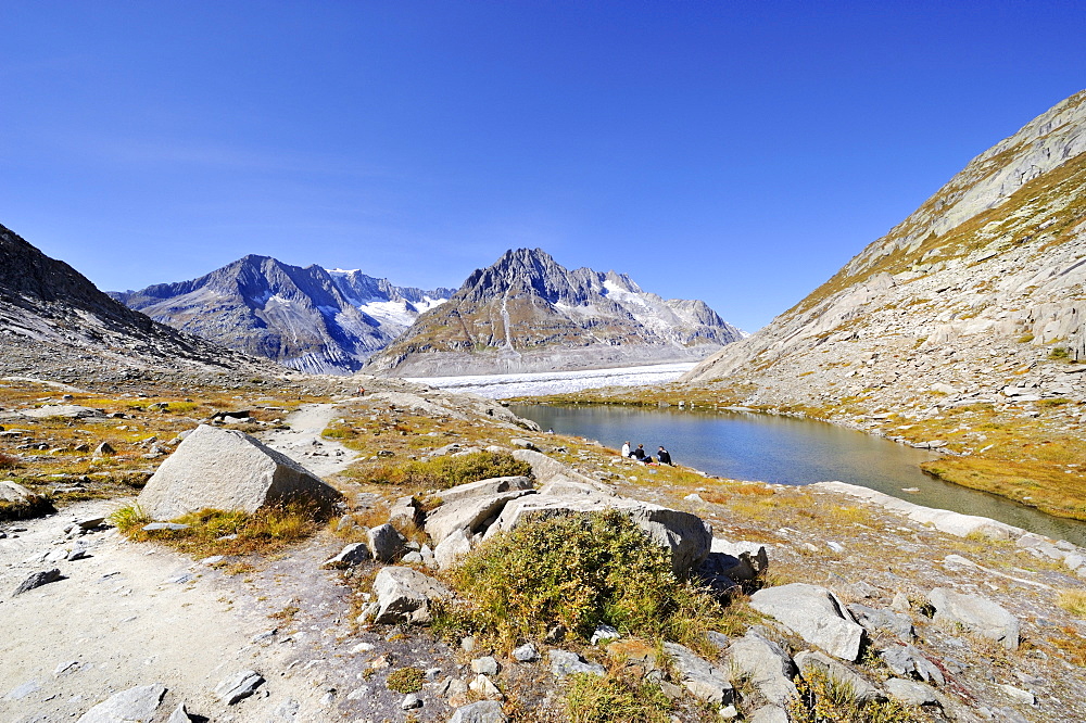 Maerjelensee, a glacial lake on the eastern edge of the Aletsch Glacier, Canton of Valais, Switzerland, Europe