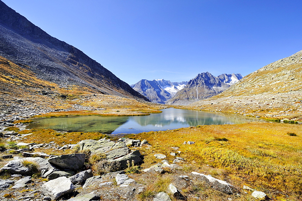 Maerjelensee, a glacial lake on the eastern edge of the Aletsch Glacier, Canton of Valais, Switzerland, Europe