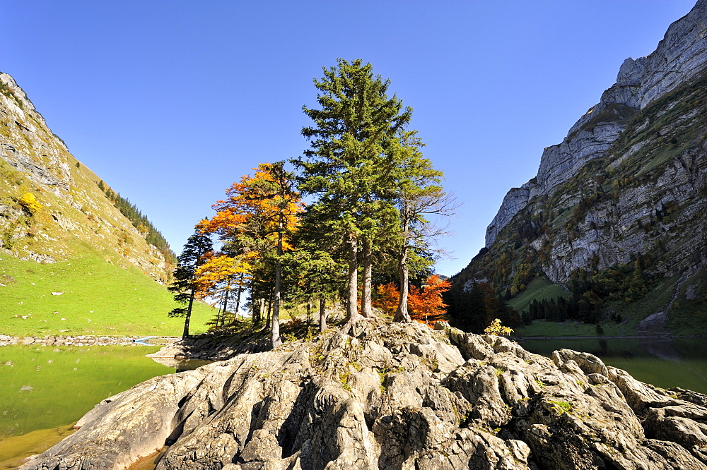 Fissured rocks with autumnal vegetation on the banks of Seealp Lake, at 1143 m altitude, in the Appenzell Alps, Canton of Appenzell Inner-Rhodes, Switzerland, Europe