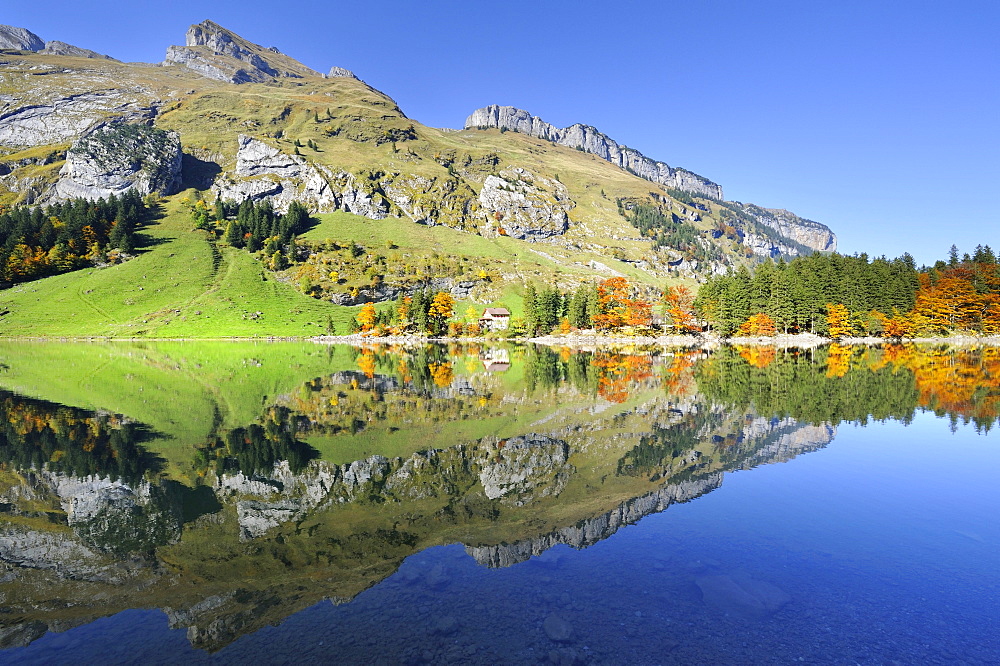 Schaefler, Fueessler, Zisler and Ebenalp mountains reflected in Seealp Lake, at 1143 m altitude, Canton of Appenzell Inner-Rhodes, Switzerland, Europe