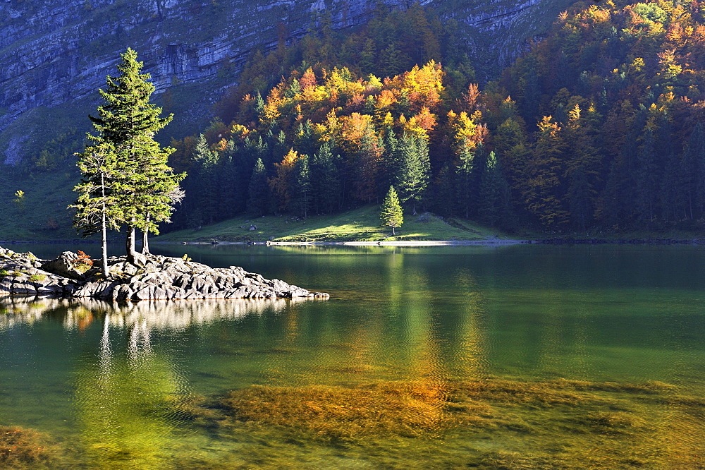 Autumnal light mood on the shore of Seealp Lake, at 1143 m altitude, Canton of Appenzell Inner-Rhodes, Switzerland, Europe