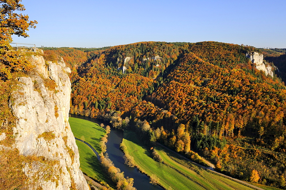 View towards Eichfelsen Rocks over the Upper Danube Valley with autumn vegetation, Sigmaringen district, Baden-Wuerttemberg, Germany, Europe