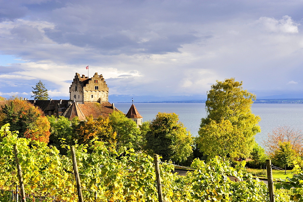 View over the autumn coloured vineyards towards the historic Meersburg Castle and Lake Constance, Lake Constance district, Baden-Wuerttemberg, Germany, Europe