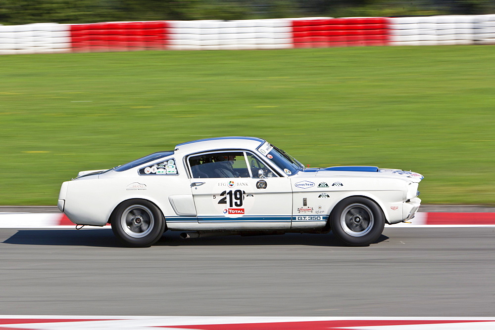 Race of post-war racing cars, Mustang, at the Oldtimer Grand Prix 2010 on the Nurburgring race track, Rhineland-Palatinate, Germany, Europe