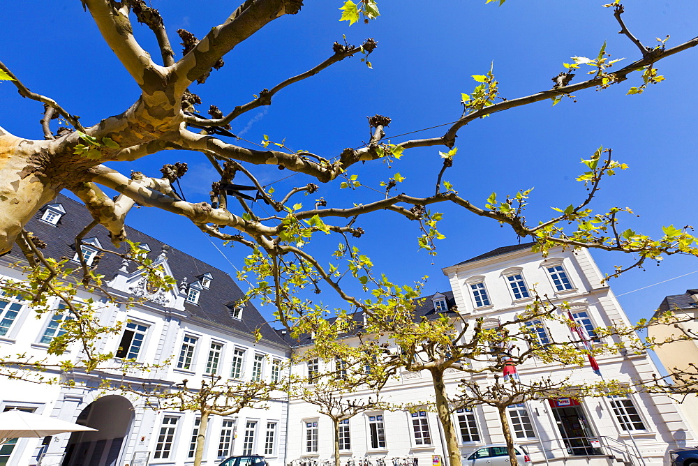 Historic Walderdorff Palace on Domfreihof square, Trier, Rhineland-Palatinate, Germany, Europe