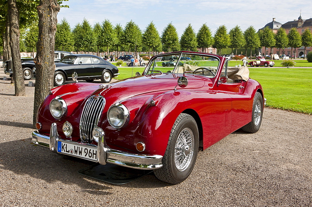 Jaguar XK 140 DHC, built in GB, Classic-Gala, Concours d'Elegance in the Baroque castle gardens, Schwetzingen, Baden-Wuerttemberg, Germany, Europe