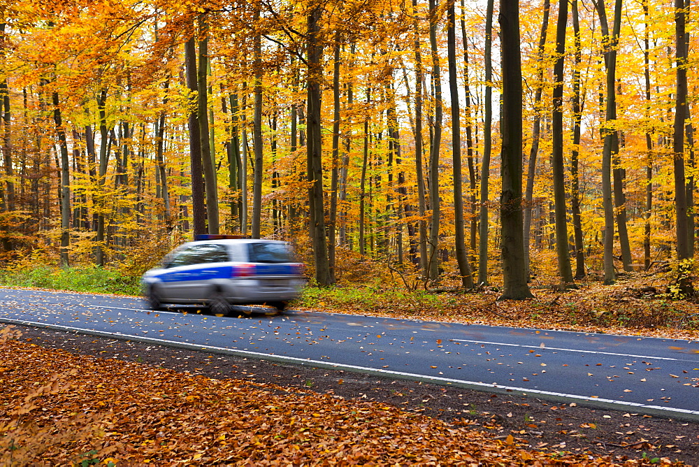 Car driving on a country road in autumn, Hesse, Germany, Europe