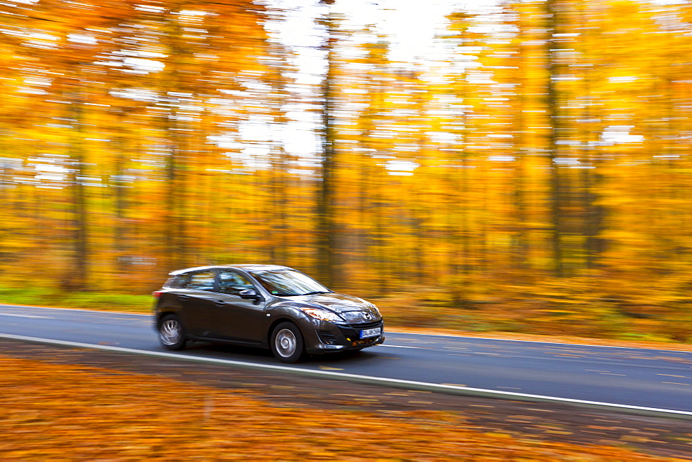 Car driving on a country road in autumn, Hesse, Germany, Europe