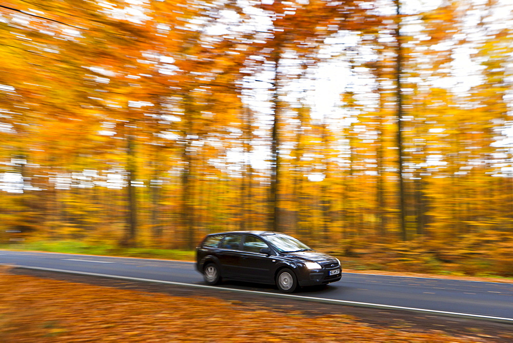 Car driving on a country road in autumn, Hesse, Germany, Europe