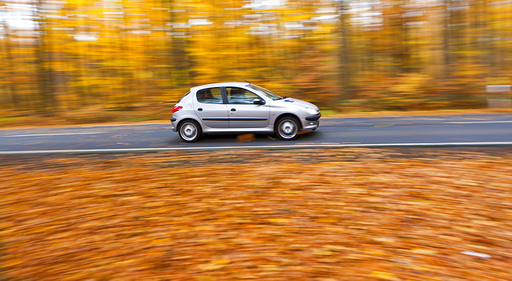 Car driving on a country road in autumn, Hesse, Germany, Europe