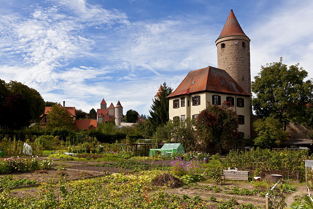 Overlooking the old town with the Hertelsturm and Krugsturm towers, Dinkelsbuehl, Ansbach, Middle Franconia, Bavaria, Germany, Europe