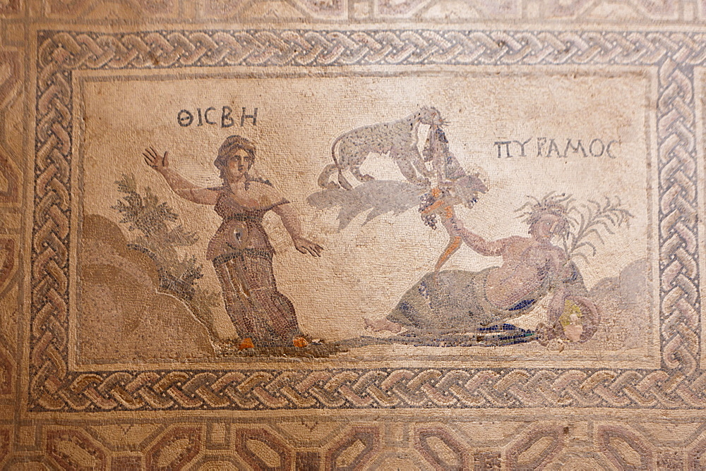 Mosaic, archaeological excavation site of Kato Paphos, House of Dionysos, UNESCO World Heritage site, Paphos, Cyprus