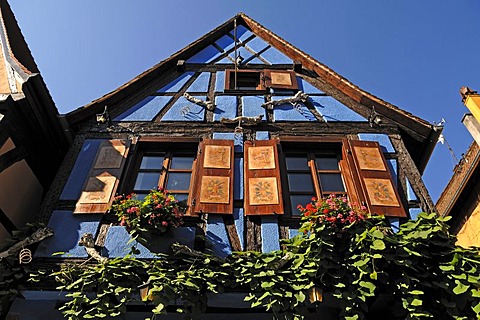 Old half-timbered house with painted window shutters, Rue du General de Gaulle 29, Riquewihr, Alsace, France, Europe