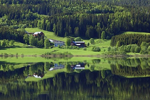 Lonely farm reflected in the water of Lake Morrivatnet, Norway, Scandinavia, Europe