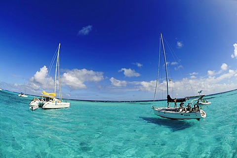 Sailboats on a sailing trip, Tobago Cays, Saint Vincent, Caribbean