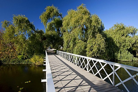 Footbridge in the Botanical Garden in Copenhagen, Denmark, Europe